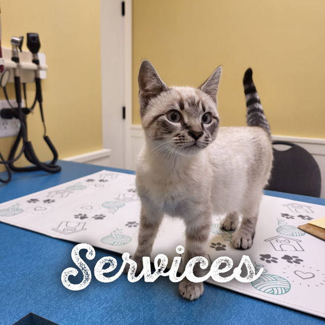 Services