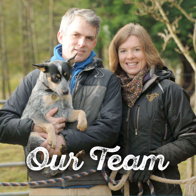 Team