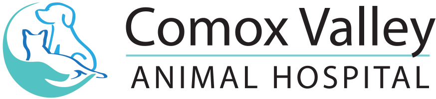 Comox Valley Animal Hospital
